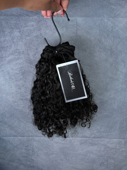 Burmese Curly